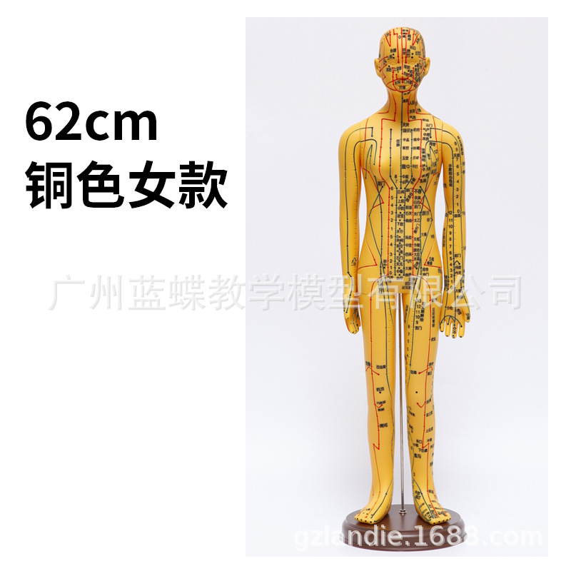 �������ģ���˾���Ѩλ��ҽȫ��ʮ��ͭ��ģ��ͼ��������ϰСƤ��