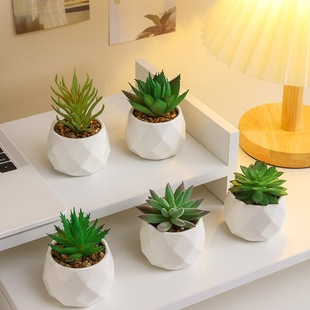 ����GֲС�[���͏d�҃����ԼҾ��k�������湤λ�ٻ��b�ֲ��