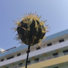 ��܇܇��b��� ������ ��܇ �쾀���b�