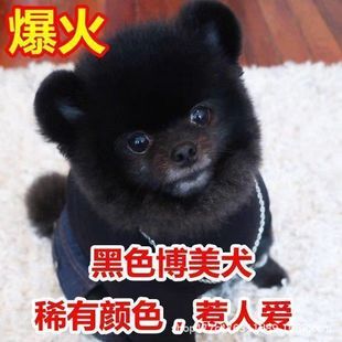 �������w��Ȯ�S�������N�L�������㿡��ȮС��Ȯ�湷���ﹷ������