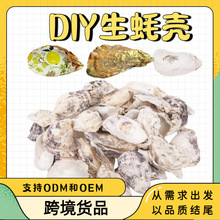 DIY�ֹ��T�f��򺚤��ˇƷ�}�Q���b�̖ĵϠ������ƽ��ؐ��