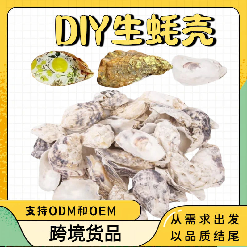 DIY手工涂鸦生蚝壳工艺品圣诞节装饰大号牡蛎壳凹面平面贝壳