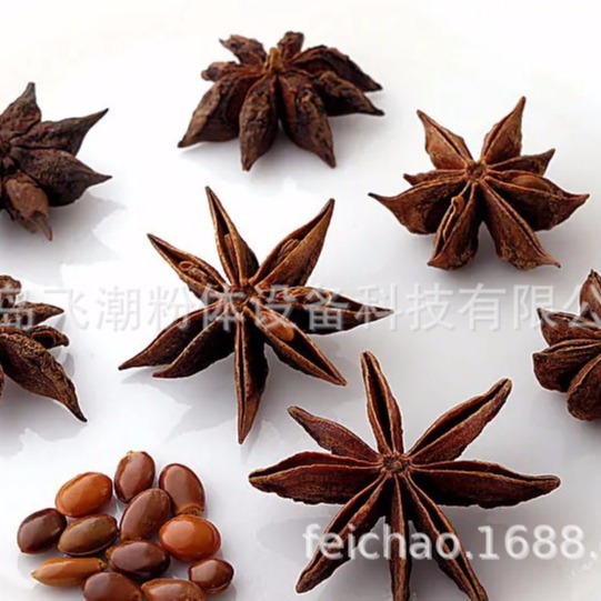 八角 调味粉 天然香料 八角粉 八角大茴粉 液氮式深冷研磨机