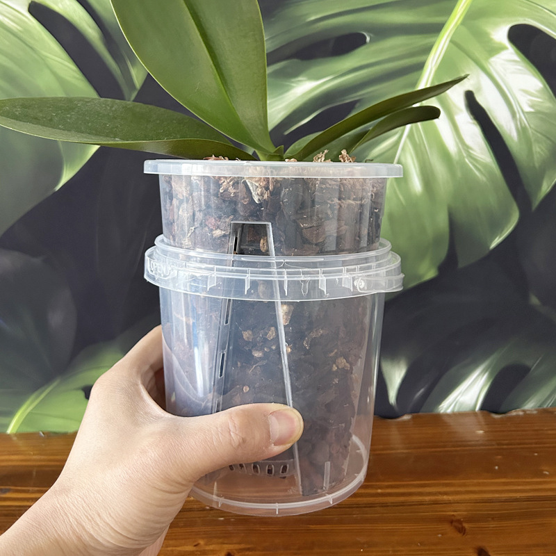 Special Flower Pot for Phalaenopsis, Lazy Water Storage, Semi-Hydroponic with Planting Material, No Need to Fertilize or Water Freely Special Flower Pot for Phalaenopsis, Lazy Water Storage, Semi-Hydroponic with Planting Material, No Need to Fertilize or Water Freely
