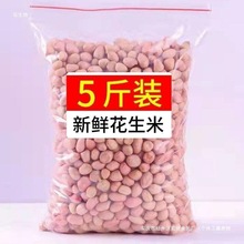 g花生米10装榨油新鲜粉皮大粒花生米现剥大新货斤降价5白沙新包装