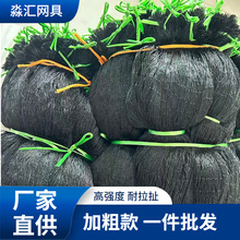 ��ɫ��ܛ�������߾W ���L�x�W ���@�~��ͥԺ�Bֳ���r�߷��o�W���l