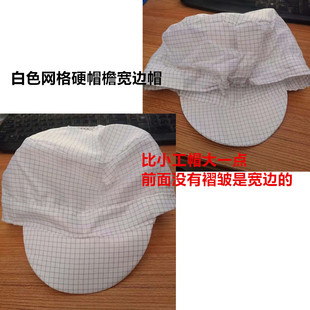 Anti-static Hat Dust-free Hat Lizhen Electrostatic Hat Hard Brim Small Workers' Hat Wide Edge
