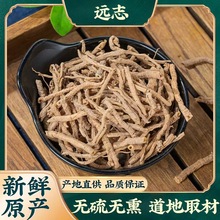 中药材 远志500克包邮 野生正品远志肉 另售 益智仁伸筋草