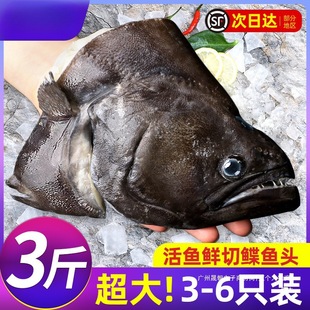 ���~�^����l�~�^�����fƬ�~�^����r��Ŀ�~�������l���~�^���r