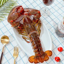 波士顿龙虾大波龙鲜冻海鲜速冻澳洲澳龙大1只装1至10斤包邮