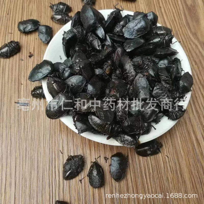 Jiu Xiang Chou Dried Bug Whole Insect Raw Herb Traditional TCM Ingredient Sealed Storage quality and texture