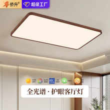 客厅吸顶灯新中式中古风侘寂创意大气全光谱护眼led客厅大厅主灯