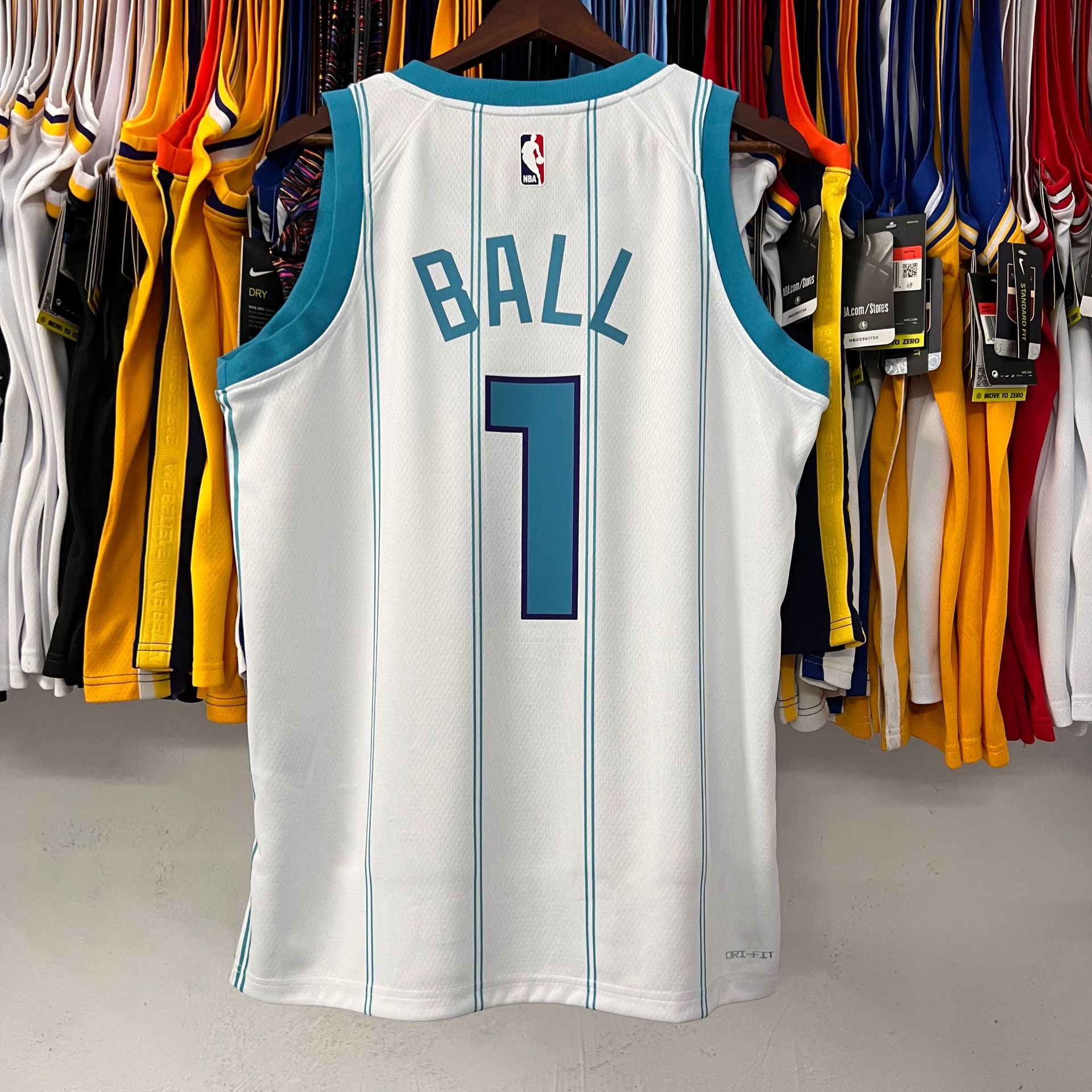 Charlotte Hornets NBA Jersey Front View