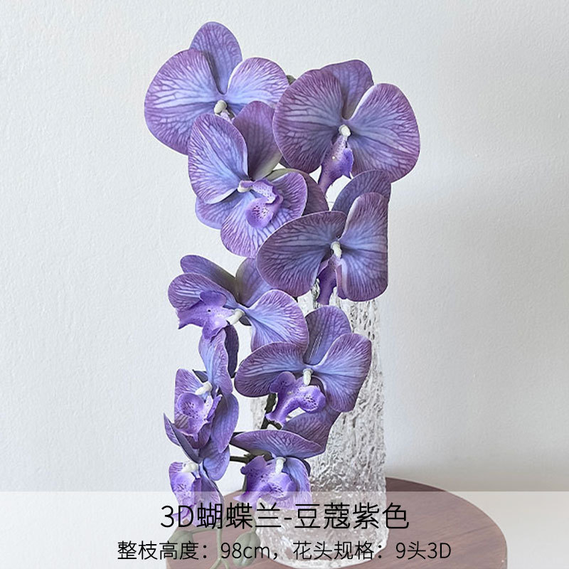 Phalaenopsis 3D púrpura de Cardamomo