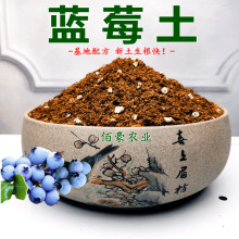 蓝莓土水果树类通用型土家庭园艺种植土养花盆栽植料