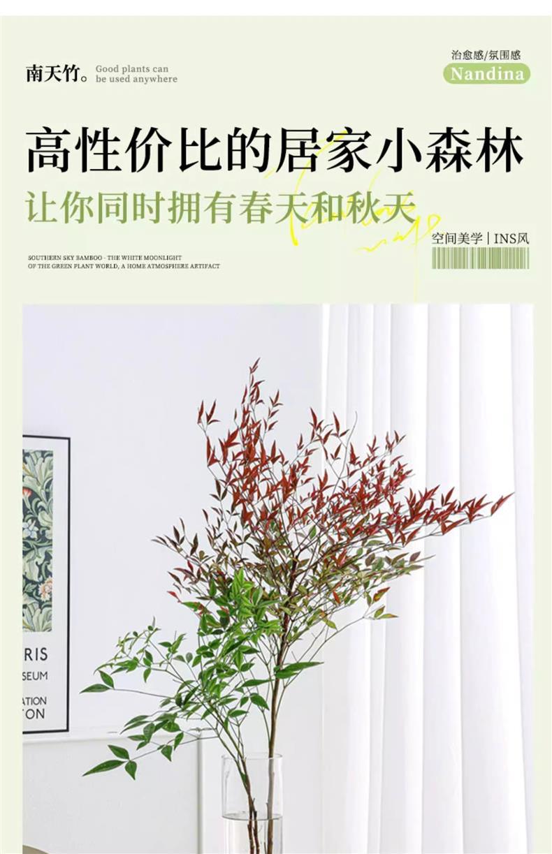 详情图