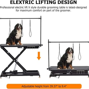 Pet Electric Adjustable Beauty Table Pet Shop Special Dog Trimming and Blowing Beauty Table Large and Medium-Sized Dog Hydraulic Table