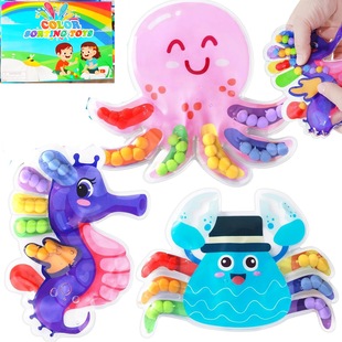 Amazon New Product Color Classification Toys Sensory Toys Color Matching Decompression Sensory Preschool Education Montessori