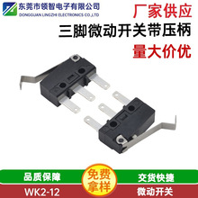 ���_��΢���_�P������ȫ���L�����_���|����΢���_�P�`���ȸ�