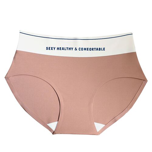 N6850-1 Tummy Control High JI Feeling Earthy Color Seamless Brushed High Waist Underwear Silk Crotch Briefs Women's Nude Feeling