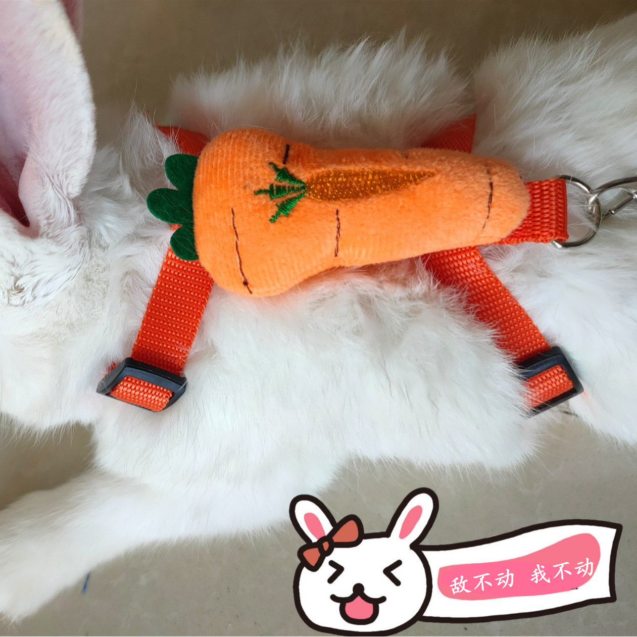 O1CN01pghT0z20m8EAiqYOQ_!!4154