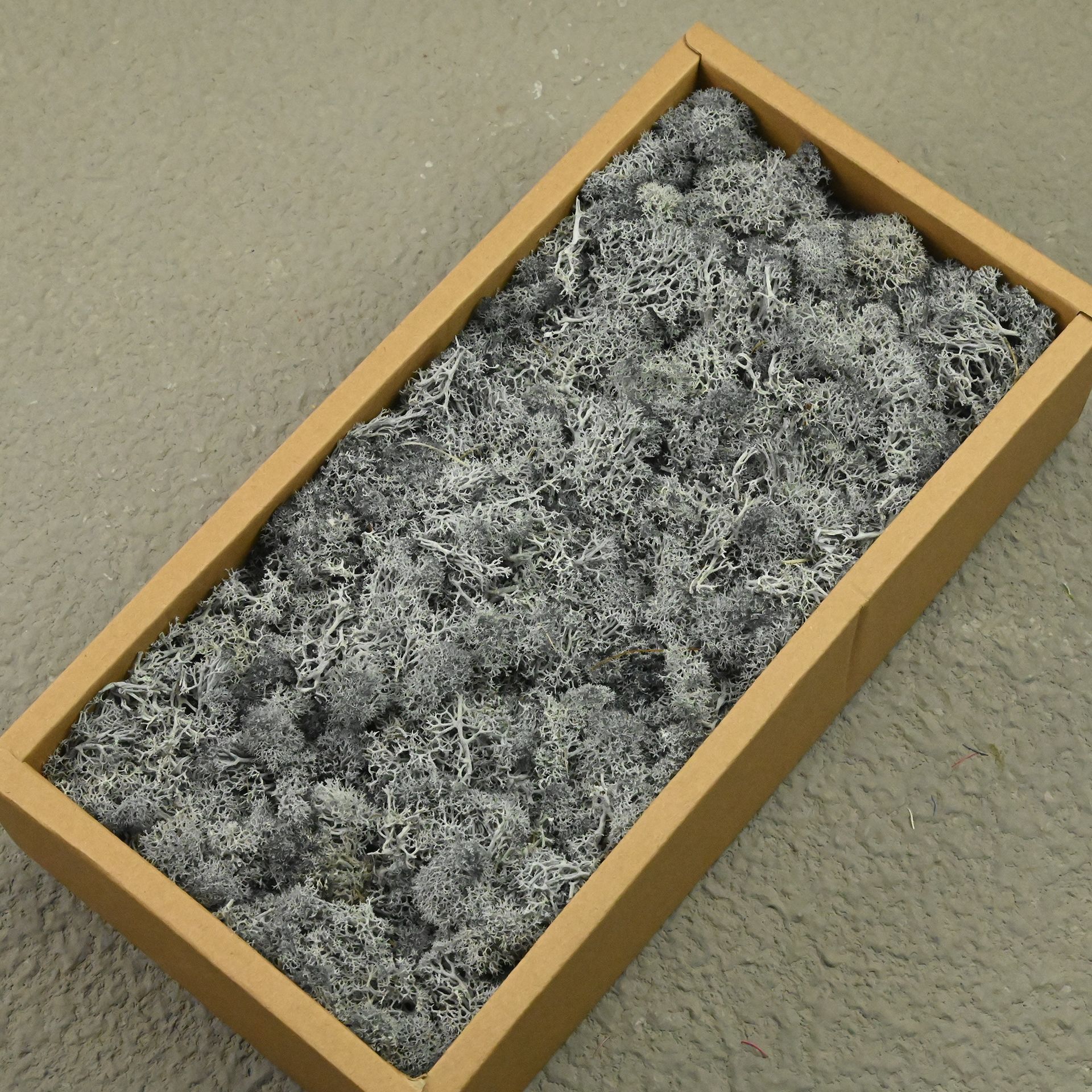 Shallow gray