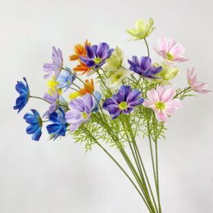 ���滨��ɣ��������@�L�Ҿӻ�ˇ�bٻ���c��˹��ҰȤ�S�����l