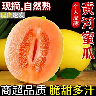 ����S���۹Ϯ���ˮ������������]���rˮ���S���۹�һ�����l