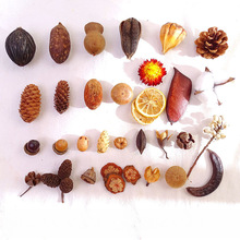 Ȼɹǧy׃@ֹbɻ}QDIY