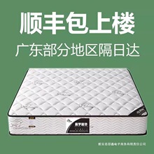 香港海马出租房家用垫子静音专用软床垫椰棕弹簧乳胶厚床垫