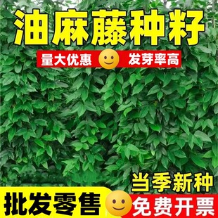 �����ٷN�Ӯ����·N���Gľ�|�ٱ�ֲ���m���ԏ����L��G�������^�p