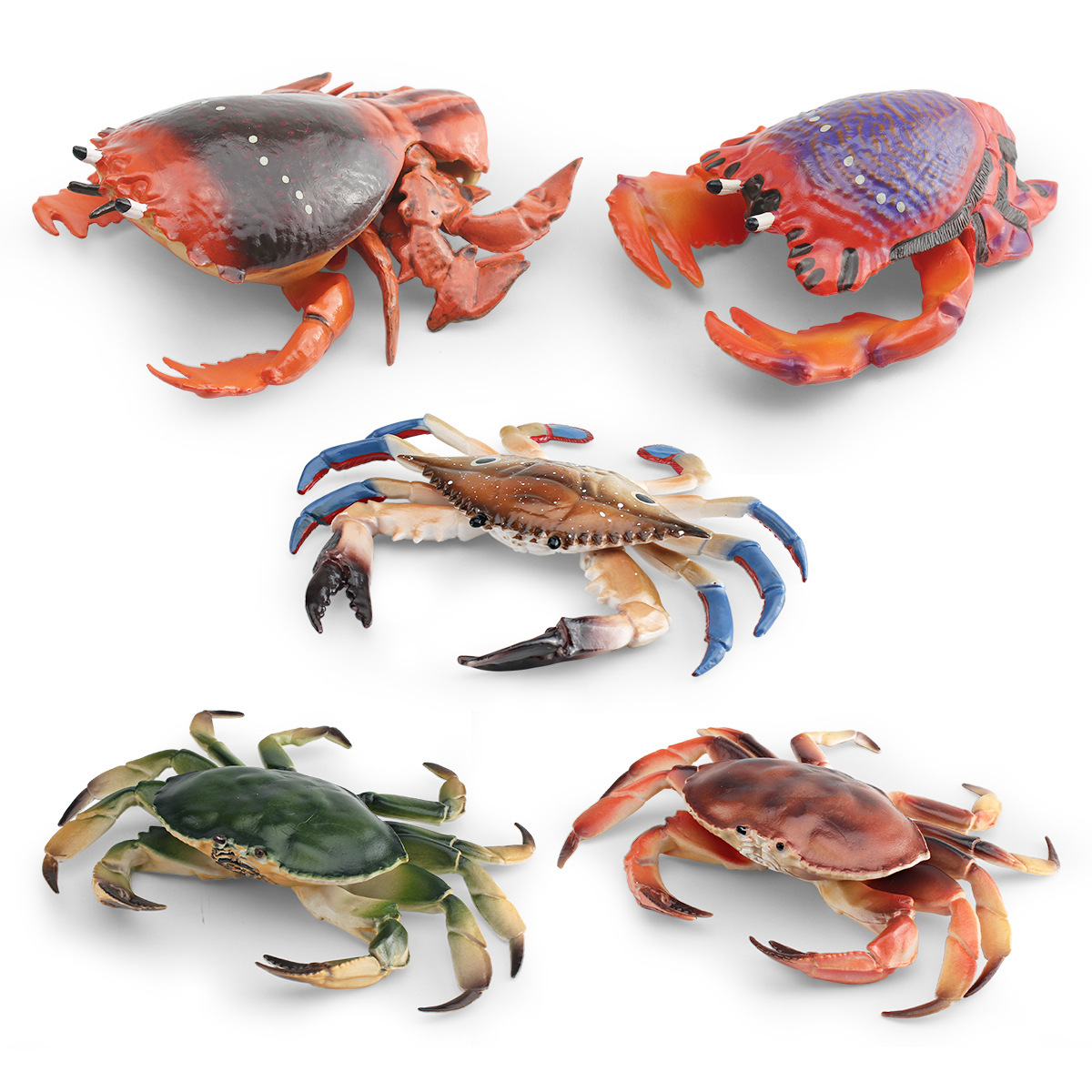 Simulación transfronteriza modelo de cangrejo de animales marinos niños cognitiva rey cangrejo araña cangrejo juguete estático decoración de escritorio