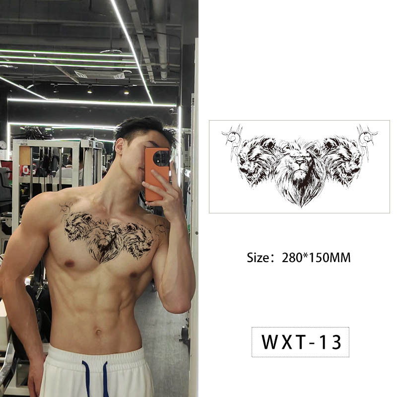 WXT-013 / 280*150MM