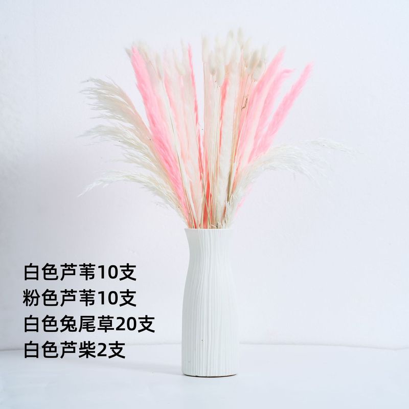 アマゾンはよく売れています。葦の花の花束です。|undefined