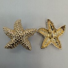���ƽ��ٺ����ͽ����o������ë�ش�����_��ë�¼~�����b���¿�