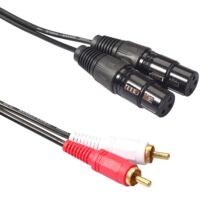 �羳؛Դ�F؛ȫ�~�\�Ͻ�2RCA���D�p���rĸ���l�B�Ӿ�1.5��