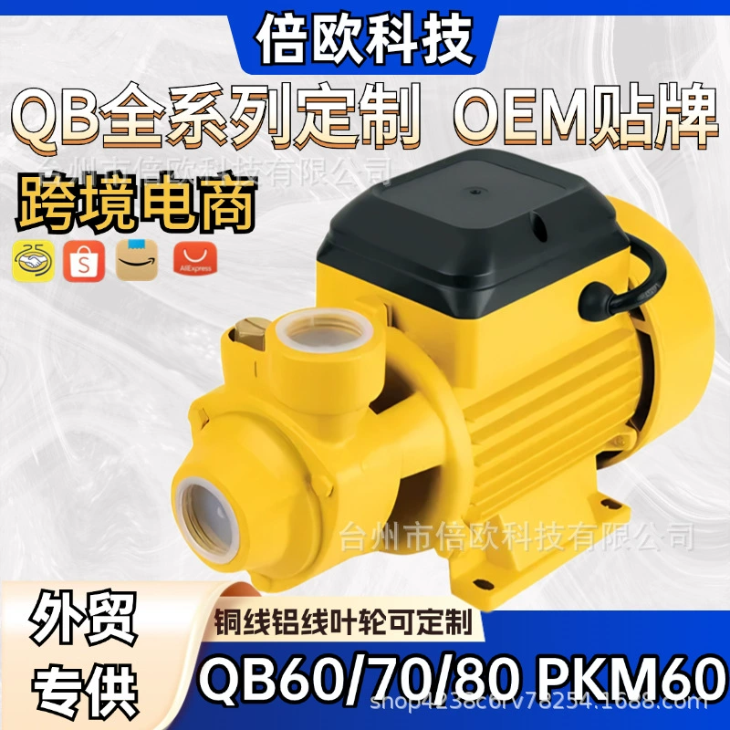 Вихревой насос QB60/70/80/50 для трансграничного экспорта, серия PKM, 220В/110В/12В/24В, самовсасывающий насос