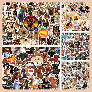 600����ʿ��»�����ȮɳƤ���D�c�������T�f�N���Pӛ���N��