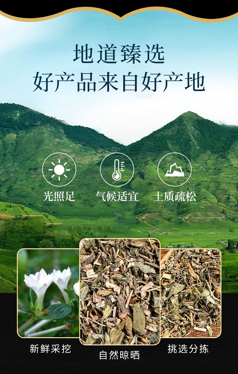 Liu Yue Xue (Serissa japonica) — Dried Snow-in-Summer Herb, 500g overview