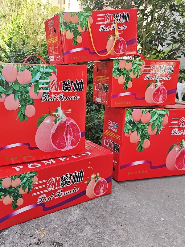 Caja de pomelo vacío] carne blanca Shatin pomelo Meizhou oro carne roja tres corazones amarillo miel pomelo caramelo caja de regalo de embalaje de pomelo