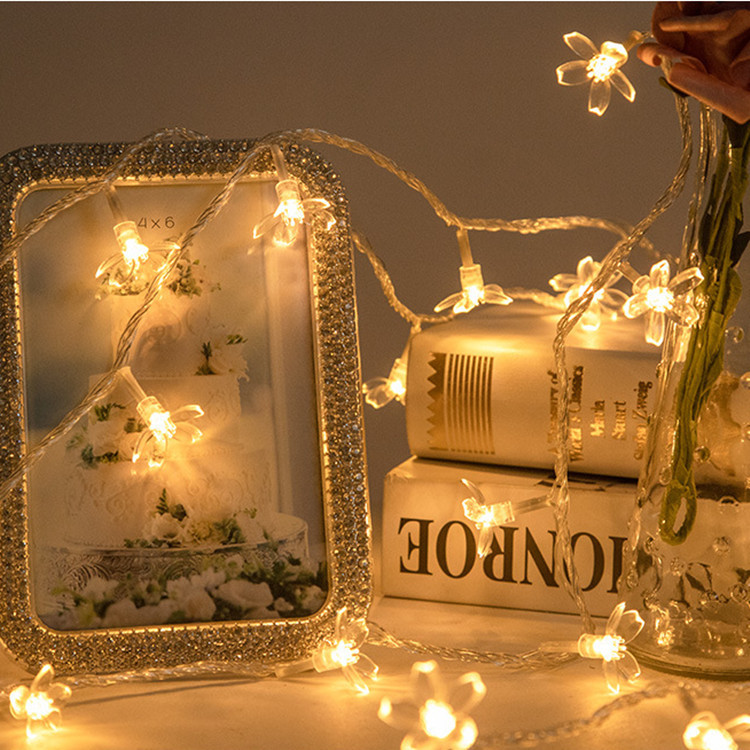 Cherry Blossom Warm White