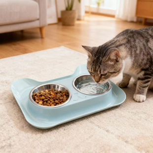 Cat Bowl Double Bowl Integrated Pet Food Cat Rice Bowl Cat Food Bowl Cat Water Bowl Stainless Steel Cat Basin Dog Bowl Wholesale