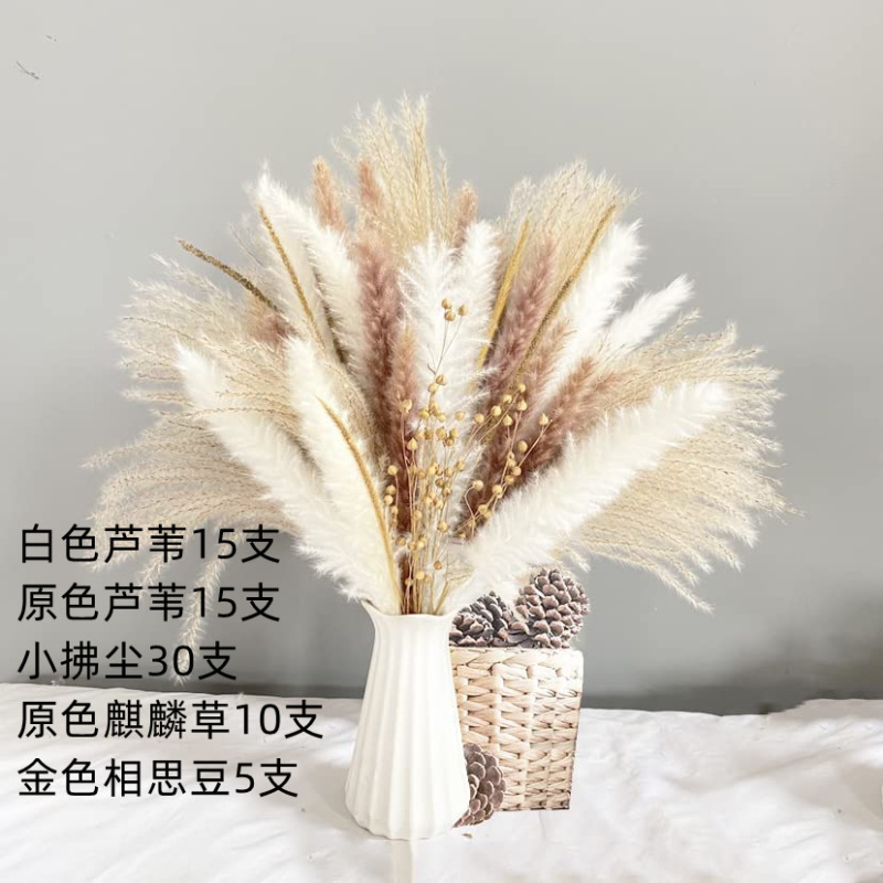 アマゾンはよく売れています。葦の花の花束です。|undefined