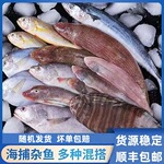 海杂鱼海鲜清仓小海鱼小杂鱼鲳鱼黄鱼饭店批发鲜鱼速冻顺丰包邮