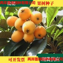 ���l���˘�N��ˮ�����˘��Ѵ����ǰ������˘�N