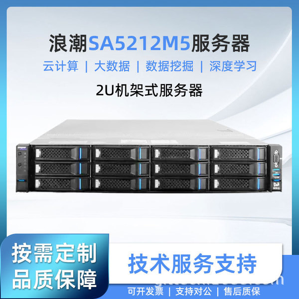 Inspur Yingxin Server SA5212M5 Rack 2U Storage Host Domestic…