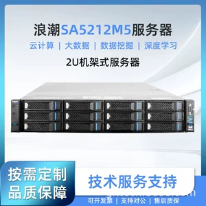 浪潮 Inspur yingxin Server SA5212M5 стойка 2U Хранитель хост -хозяин внутренней информации Инновации Инновации