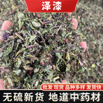 批发中药材泽漆 产地货源不硫猫眼草泽漆干净无杂中草药打粉量大