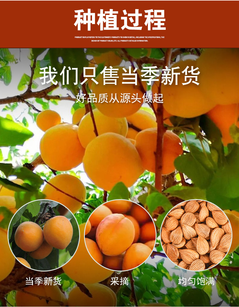 Sweet Almond (Prunus dulcis) — Dried Food-Grade Kernels, 500g Bulk preparation