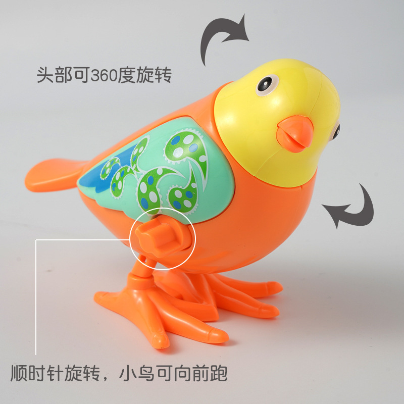 13486167555_1137208612